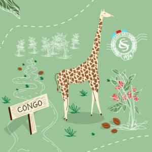 4 DESTINATIONS CAFE - CONGO