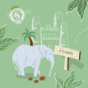4 DESTINATIONS CAFE - ETHIOPIE